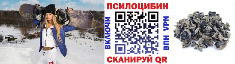 блэк спрут ONION  Рыльск  Псилоцибиновые грибы Cubensis  где найти  